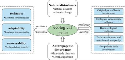 Ecological space resilience assessment of Baiyangdian Basin from the perspective of evolutionary resilience